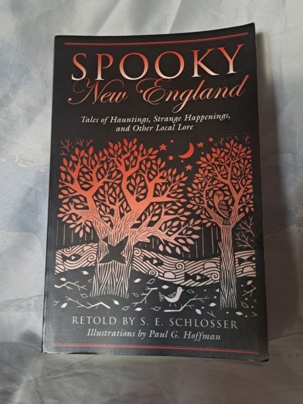 Spooky New England : Tales of Hauntings, Strange Happenings soft cover book